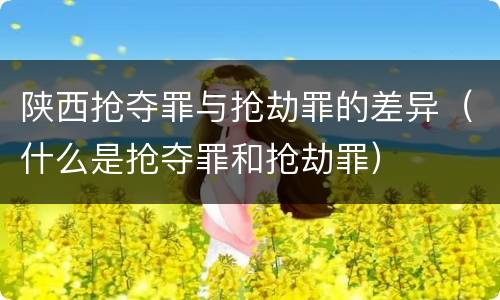 陕西抢夺罪与抢劫罪的差异（什么是抢夺罪和抢劫罪）