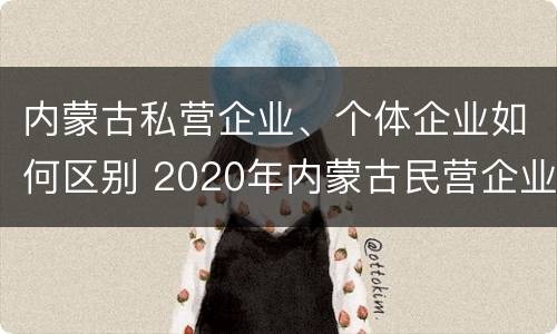 内蒙古私营企业、个体企业如何区别 2020年内蒙古民营企业