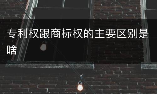 专利权跟商标权的主要区别是啥