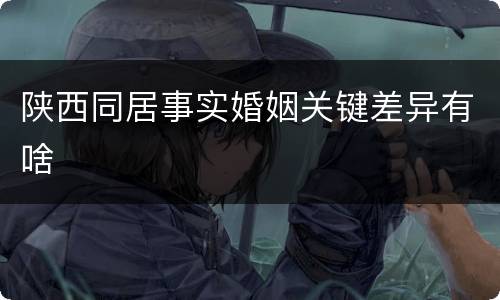 陕西同居事实婚姻关键差异有啥