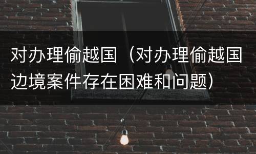 对办理偷越国（对办理偷越国边境案件存在困难和问题）