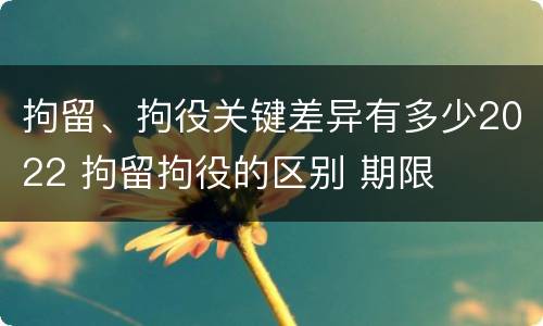 拘留、拘役关键差异有多少2022 拘留拘役的区别 期限