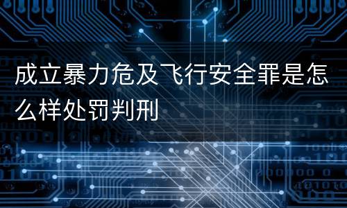 成立暴力危及飞行安全罪是怎么样处罚判刑