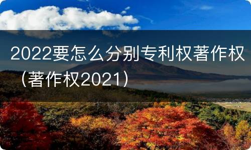 2022要怎么分别专利权著作权（著作权2021）