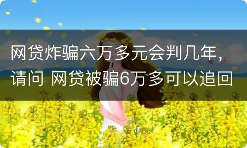 网贷炸骗六万多元会判几年，请问 网贷被骗6万多可以追回来吗
