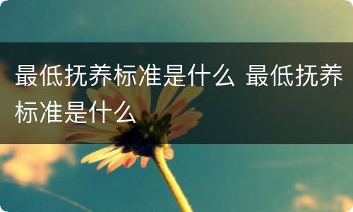 最低抚养标准是什么 最低抚养标准是什么