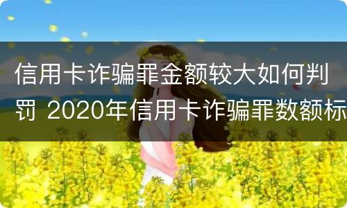 信用卡诈骗罪金额较大如何判罚 2020年信用卡诈骗罪数额标准
