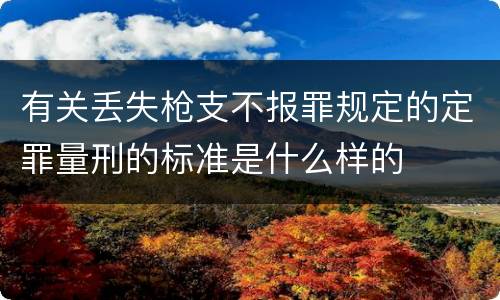 有关丢失枪支不报罪规定的定罪量刑的标准是什么样的