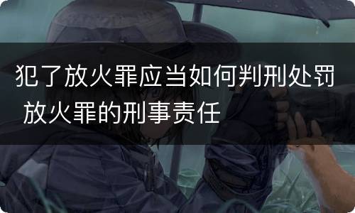 犯了放火罪应当如何判刑处罚 放火罪的刑事责任