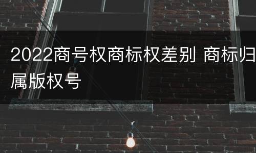 2022商号权商标权差别 商标归属版权号