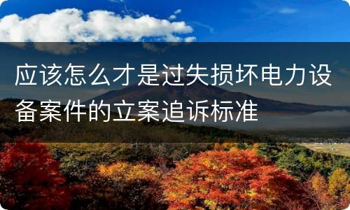 应该怎么才是过失损坏电力设备案件的立案追诉标准