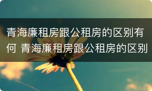 青海廉租房跟公租房的区别有何 青海廉租房跟公租房的区别有何不同
