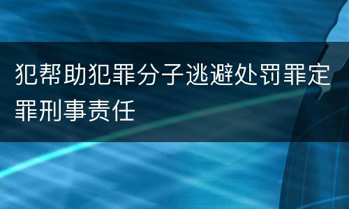 犯帮助犯罪分子逃避处罚罪定罪刑事责任