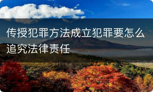 传授犯罪方法成立犯罪要怎么追究法律责任