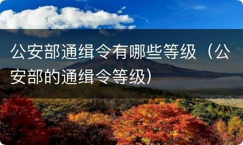 公安部通缉令有哪些等级（公安部的通缉令等级）