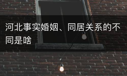 河北事实婚姻、同居关系的不同是啥