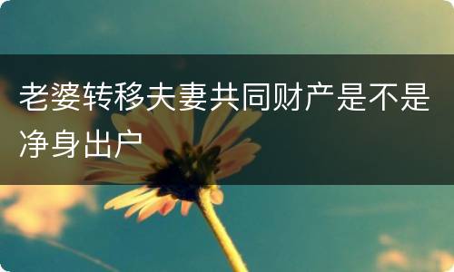 老婆转移夫妻共同财产是不是净身出户