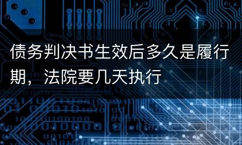 债务判决书生效后多久是履行期，法院要几天执行