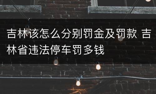 吉林该怎么分别罚金及罚款 吉林省违法停车罚多钱