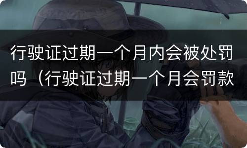 行驶证过期一个月内会被处罚吗（行驶证过期一个月会罚款吗）
