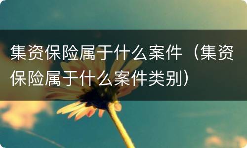 集资保险属于什么案件（集资保险属于什么案件类别）