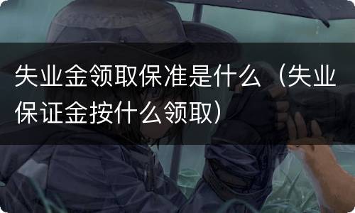 失业金领取保准是什么（失业保证金按什么领取）