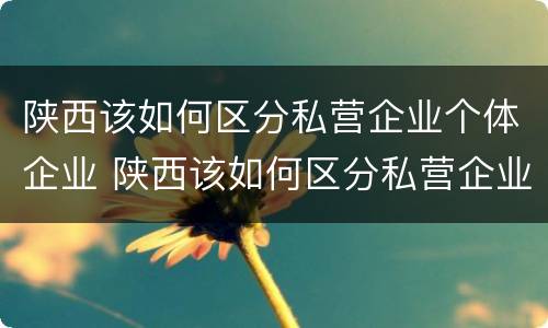 陕西该如何区分私营企业个体企业 陕西该如何区分私营企业个体企业和公司