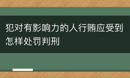 犯对有影响力的人行贿应受到怎样处罚判刑