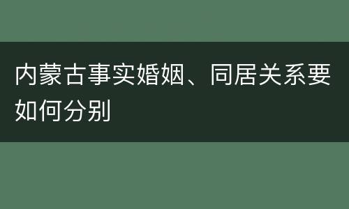 内蒙古事实婚姻、同居关系要如何分别