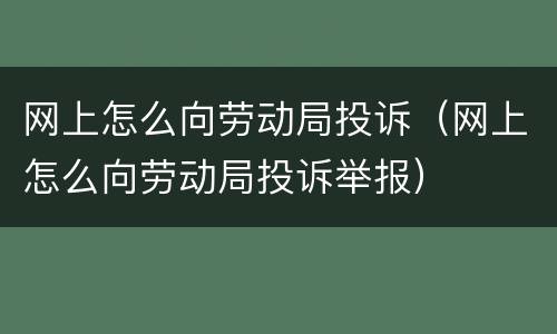 网上怎么向劳动局投诉（网上怎么向劳动局投诉举报）