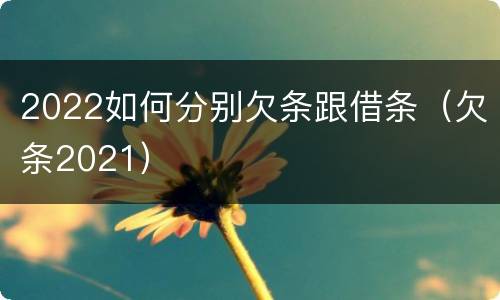 2022如何分别欠条跟借条（欠条2021）
