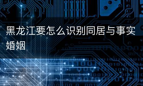 黑龙江要怎么识别同居与事实婚姻