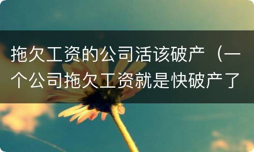 拖欠工资的公司活该破产（一个公司拖欠工资就是快破产了吗）