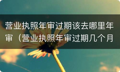 营业执照年审过期该去哪里年审（营业执照年审过期几个月会处罚）