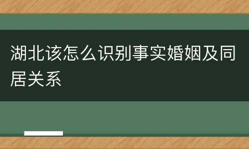 湖北该怎么识别事实婚姻及同居关系