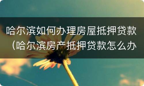 哈尔滨如何办理房屋抵押贷款（哈尔滨房产抵押贷款怎么办理）