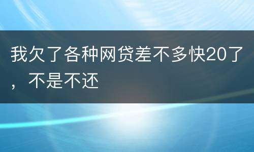 我欠了各种网贷差不多快20了，不是不还