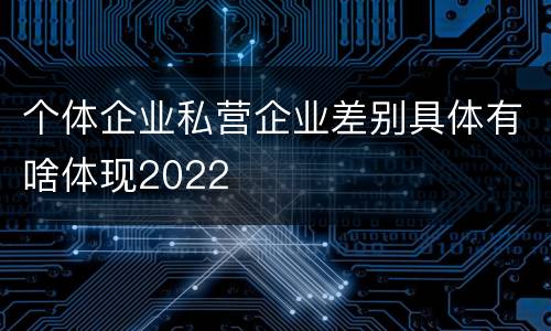 个体企业私营企业差别具体有啥体现2022