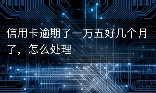信用卡逾期了一万五好几个月了，怎么处理