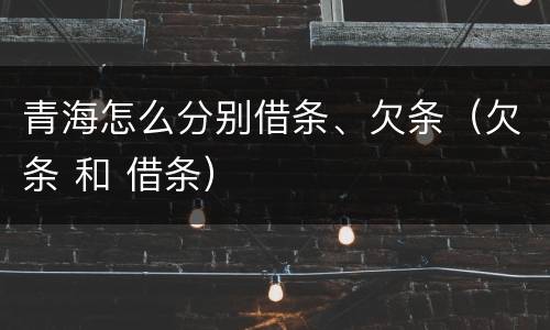 青海怎么分别借条、欠条（欠条 和 借条）