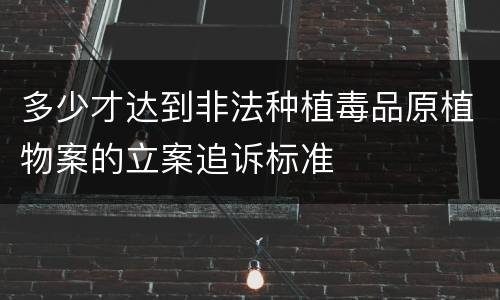 多少才达到非法种植毒品原植物案的立案追诉标准