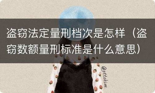 盗窃法定量刑档次是怎样（盗窃数额量刑标准是什么意思）