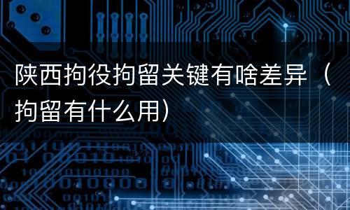 陕西拘役拘留关键有啥差异（拘留有什么用）
