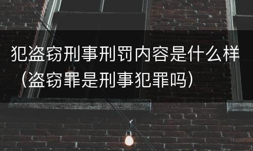 犯盗窃刑事刑罚内容是什么样（盗窃罪是刑事犯罪吗）