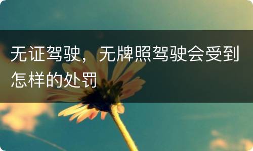 无证驾驶，无牌照驾驶会受到怎样的处罚