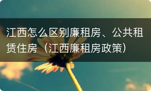 江西怎么区别廉租房、公共租赁住房（江西廉租房政策）