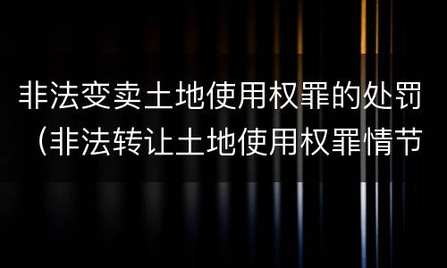 非法变卖土地使用权罪的处罚（非法转让土地使用权罪情节严重）