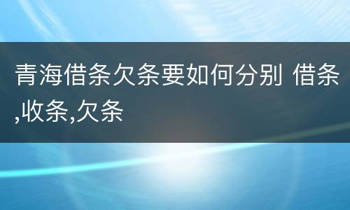 青海借条欠条要如何分别 借条,收条,欠条
