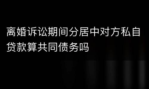 离婚诉讼期间分居中对方私自贷款算共同债务吗