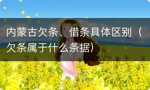 内蒙古欠条、借条具体区别（欠条属于什么条据）